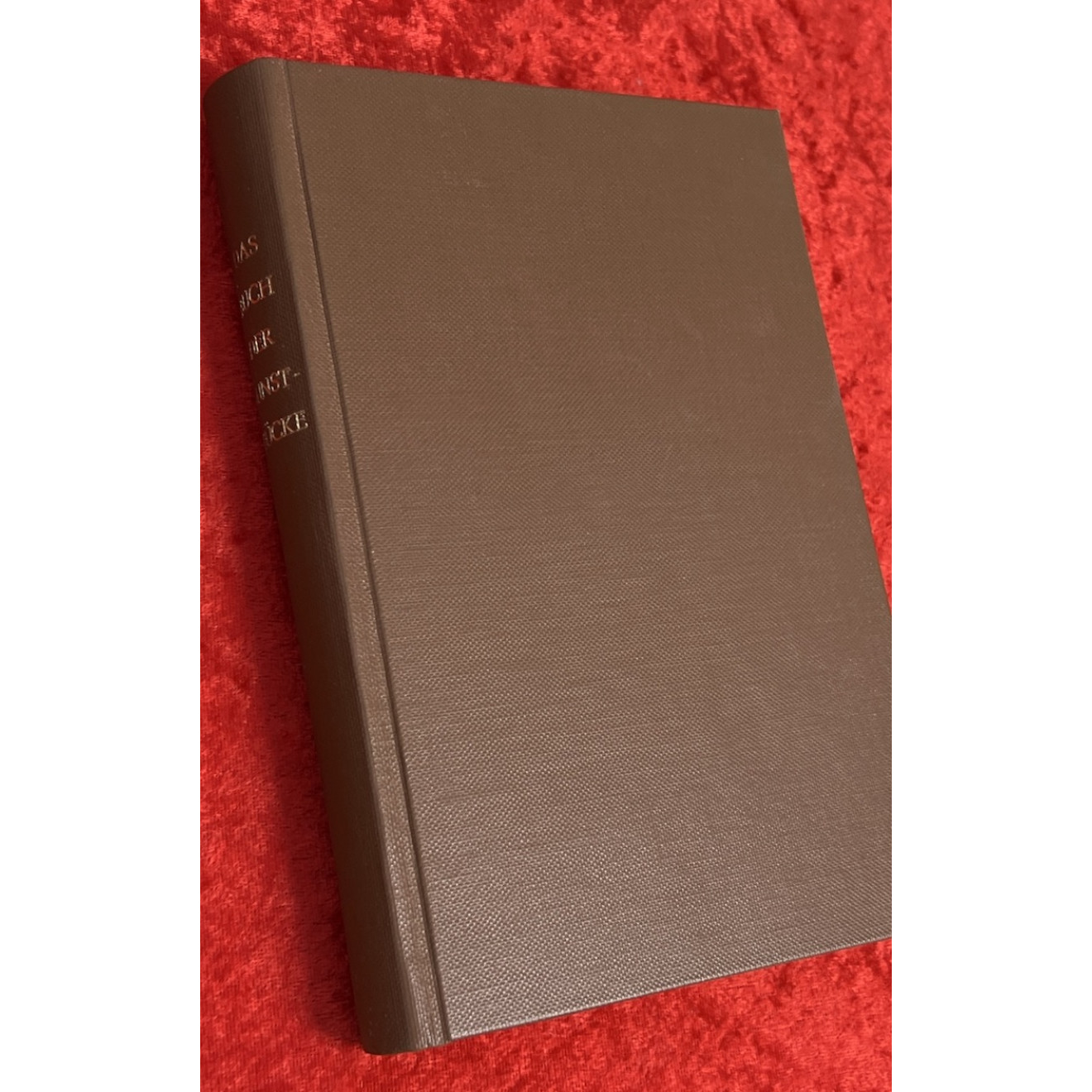Das Buch der Kunststücke, Gesellschaftsscherze und Probleme (gebunden)