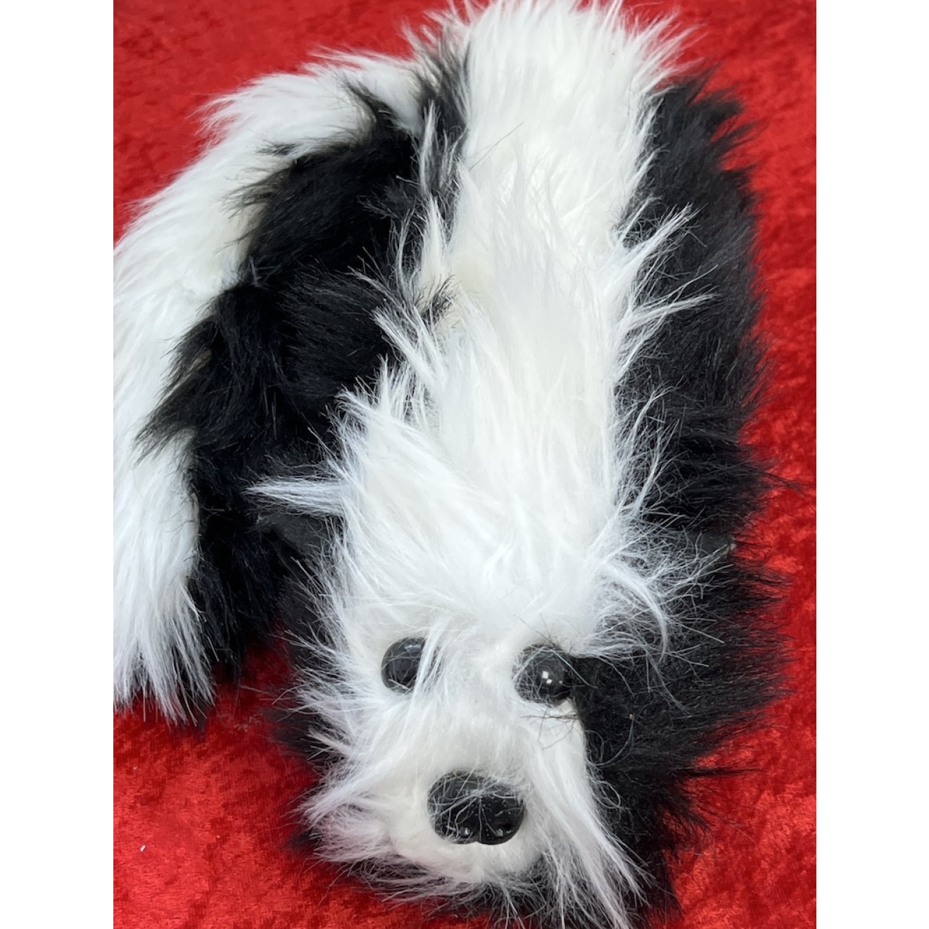 Sweet Pea The Happy Skunk