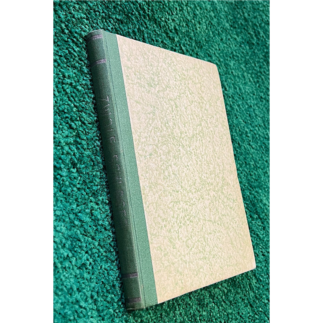 Zwölf Schlager der Magie (geb.)