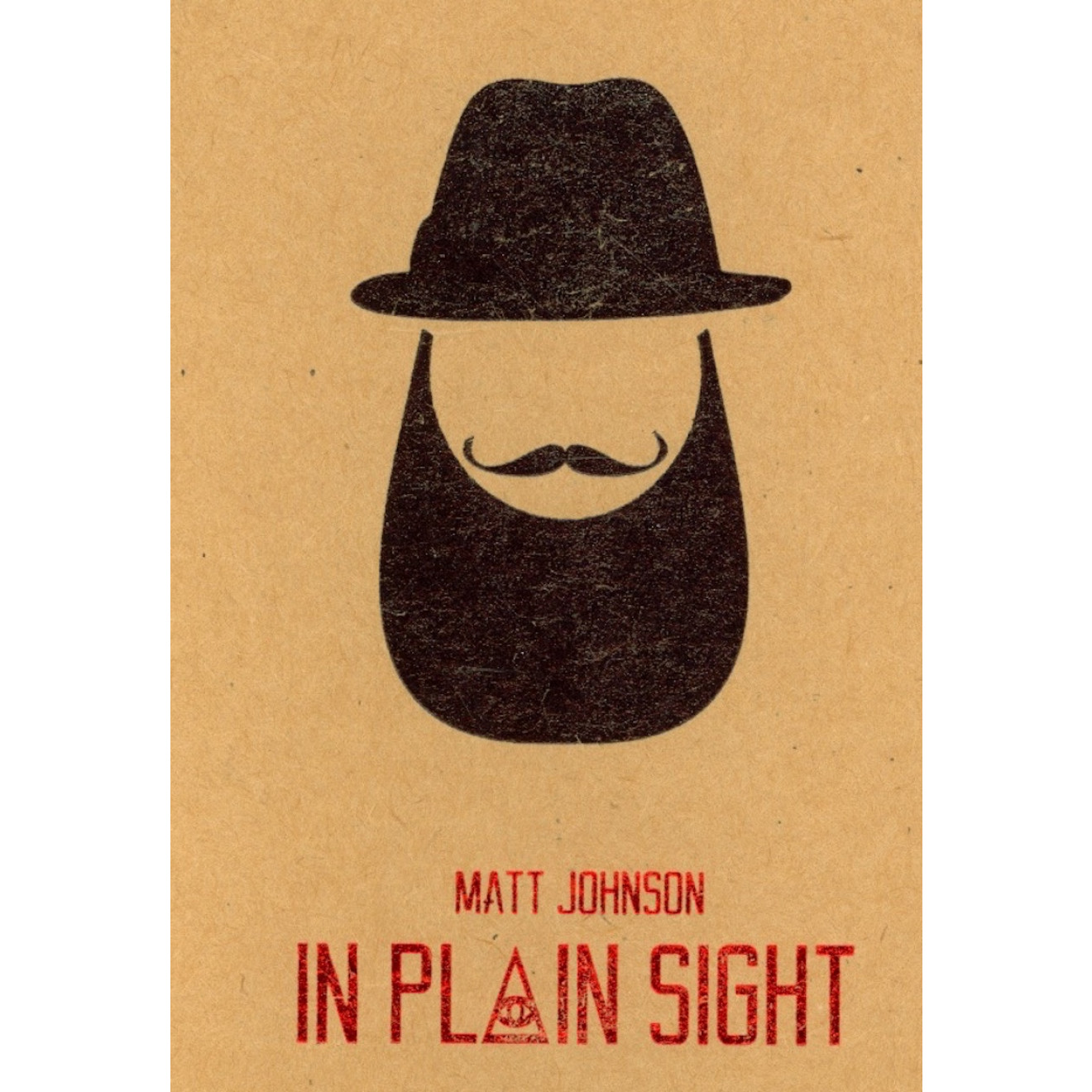In Plain Sight by Matt Johnson