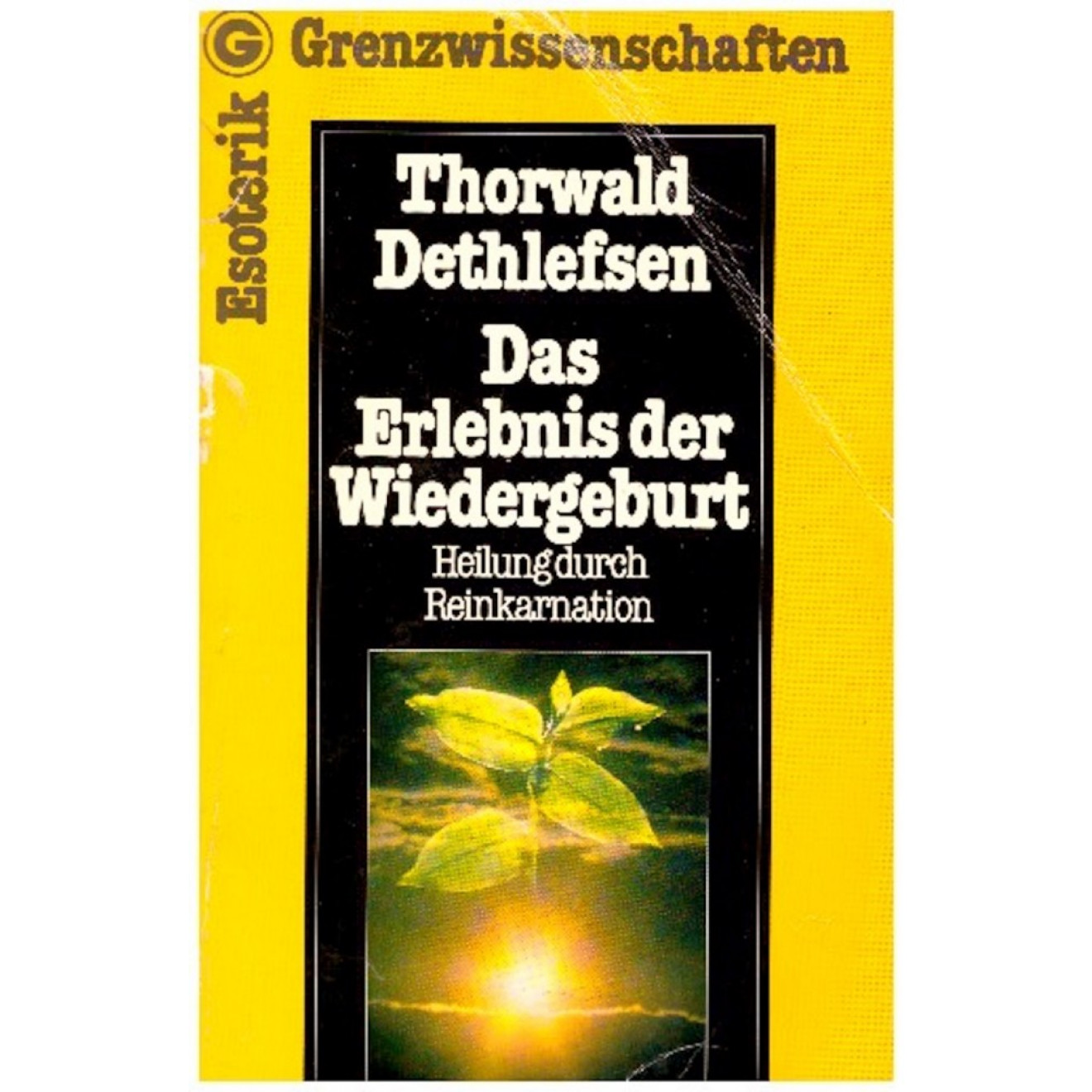 Das Erlebnis der Wiedergeburt