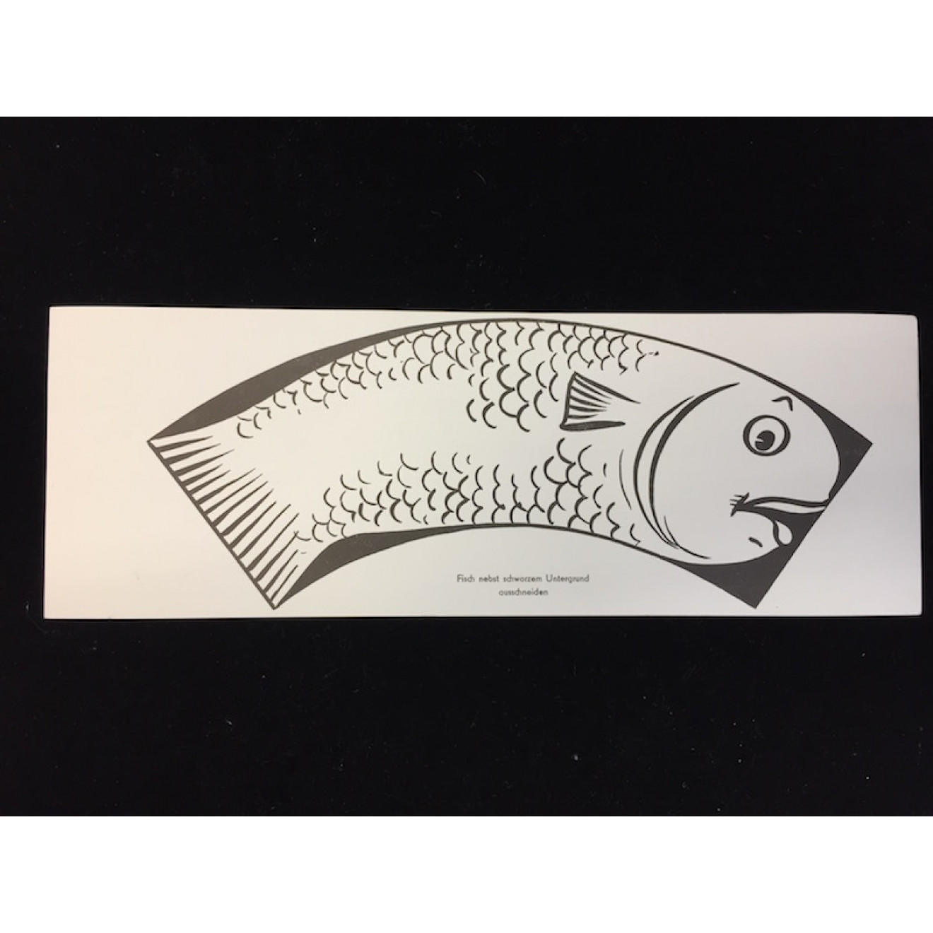 Tale Of Two Fish