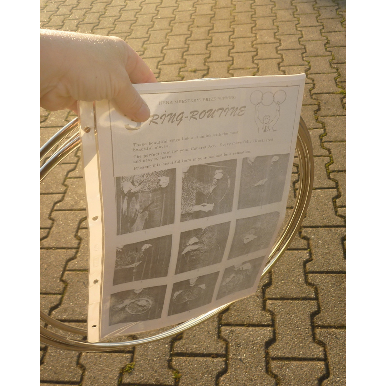 Henk Meester's Three Ring Routine