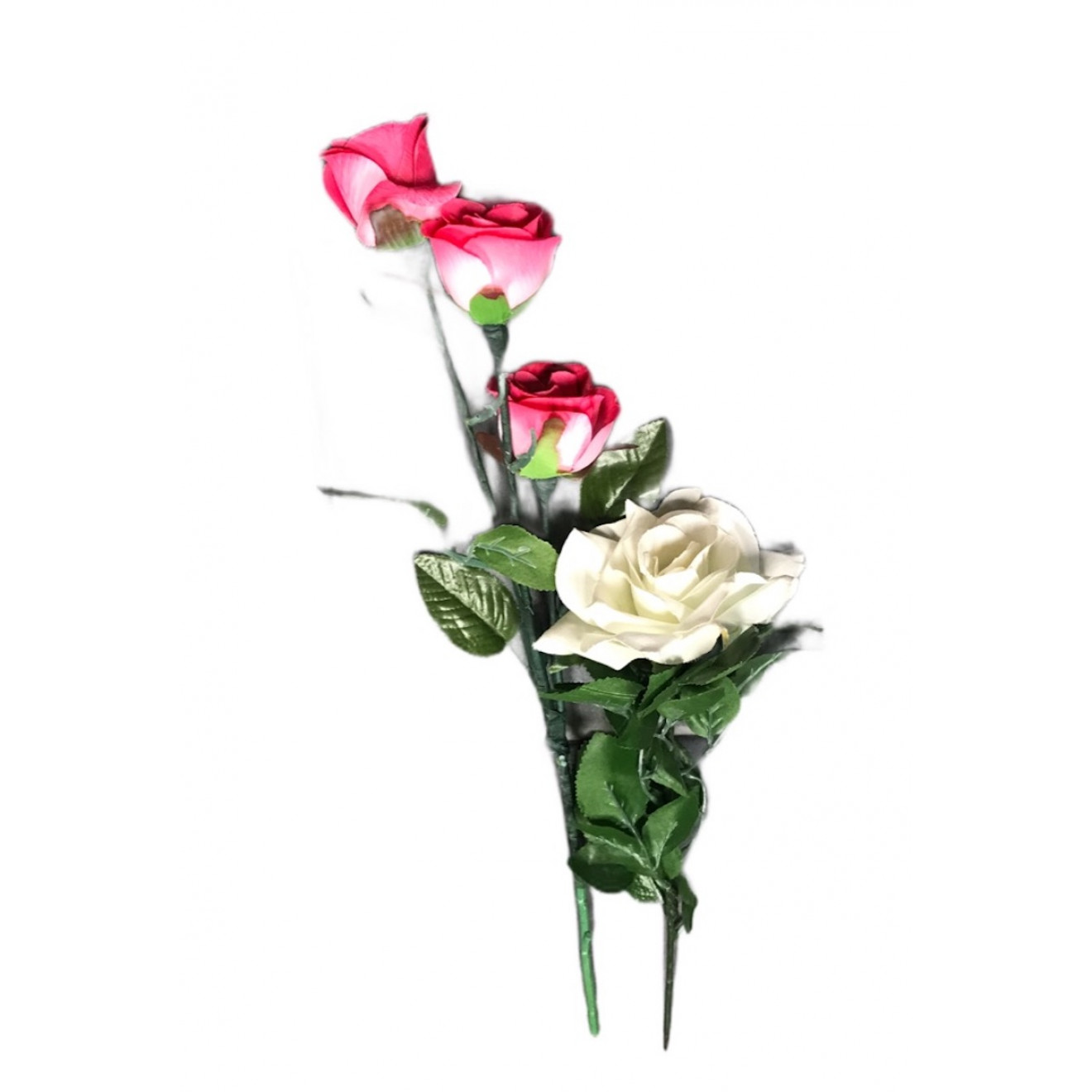Color Changing Rose + D-Rose Triple
