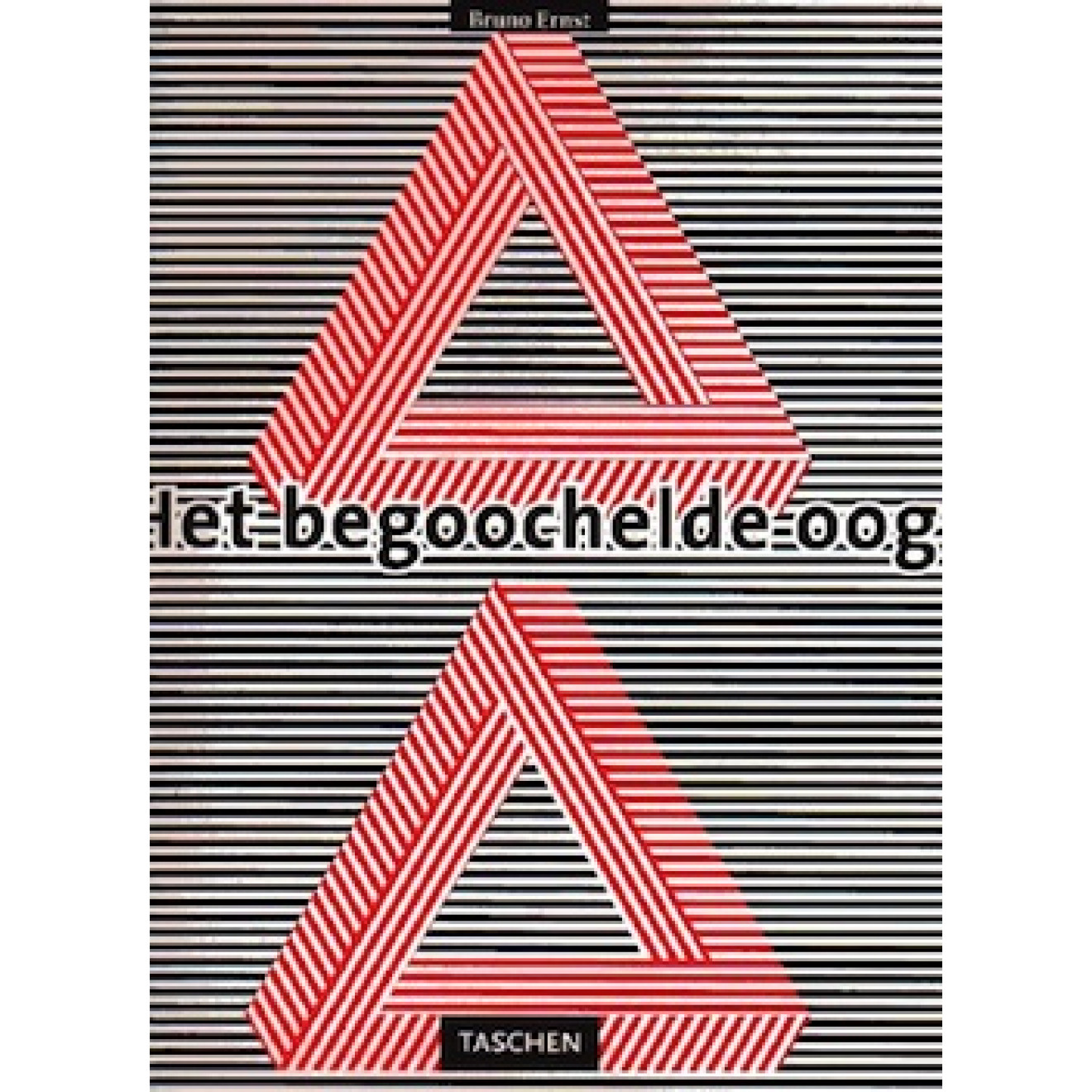 Het begoochelde oog - Optische illusies