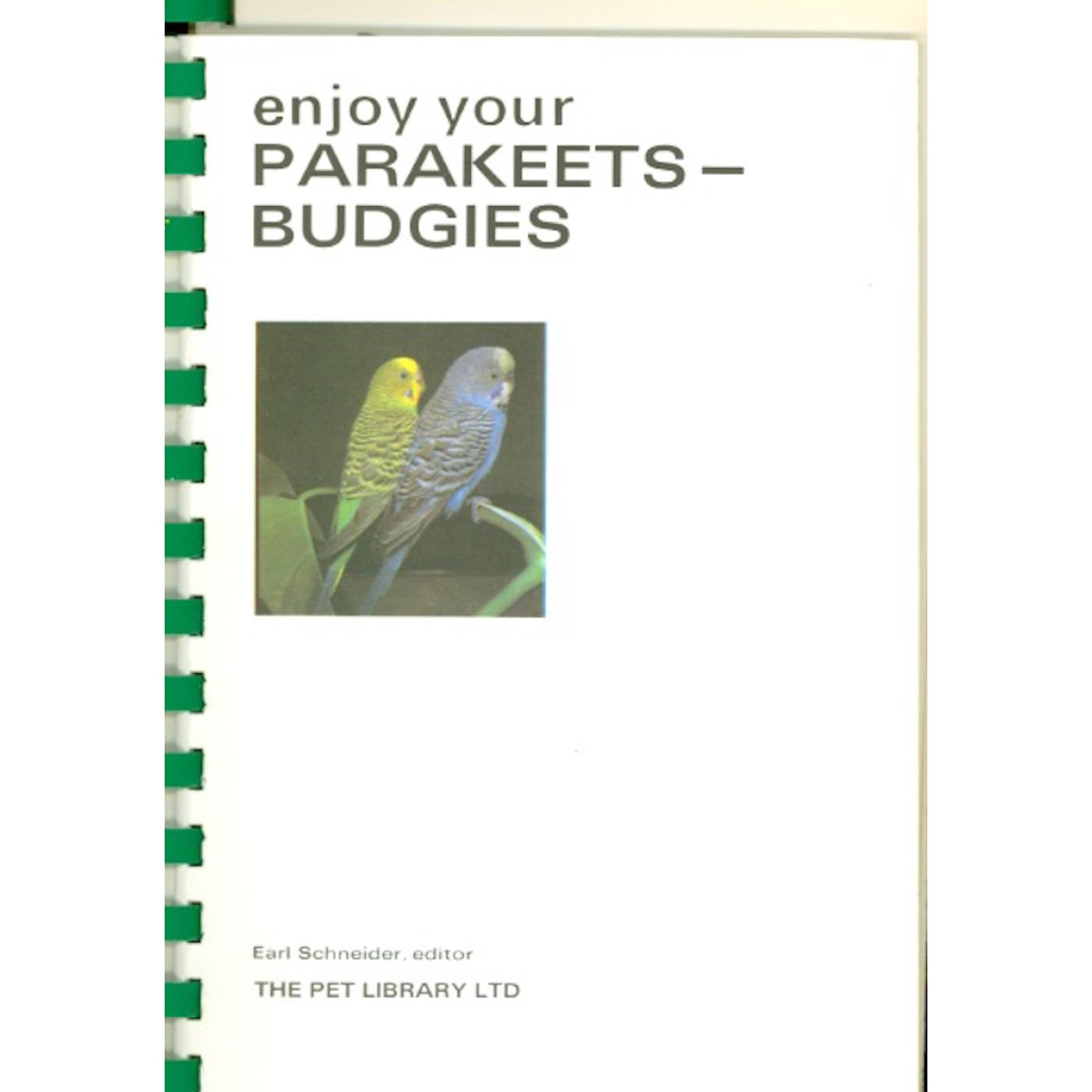 Enjoy Your Parakeet Budgies