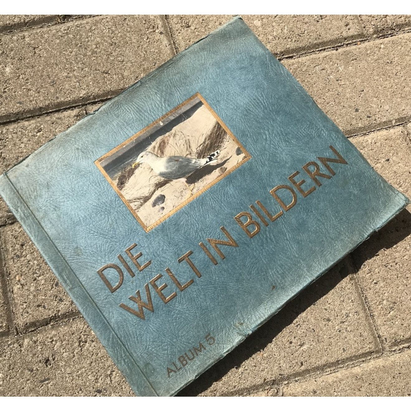 Die Welt in Bilder Album 5 (Deutsche Vögel)