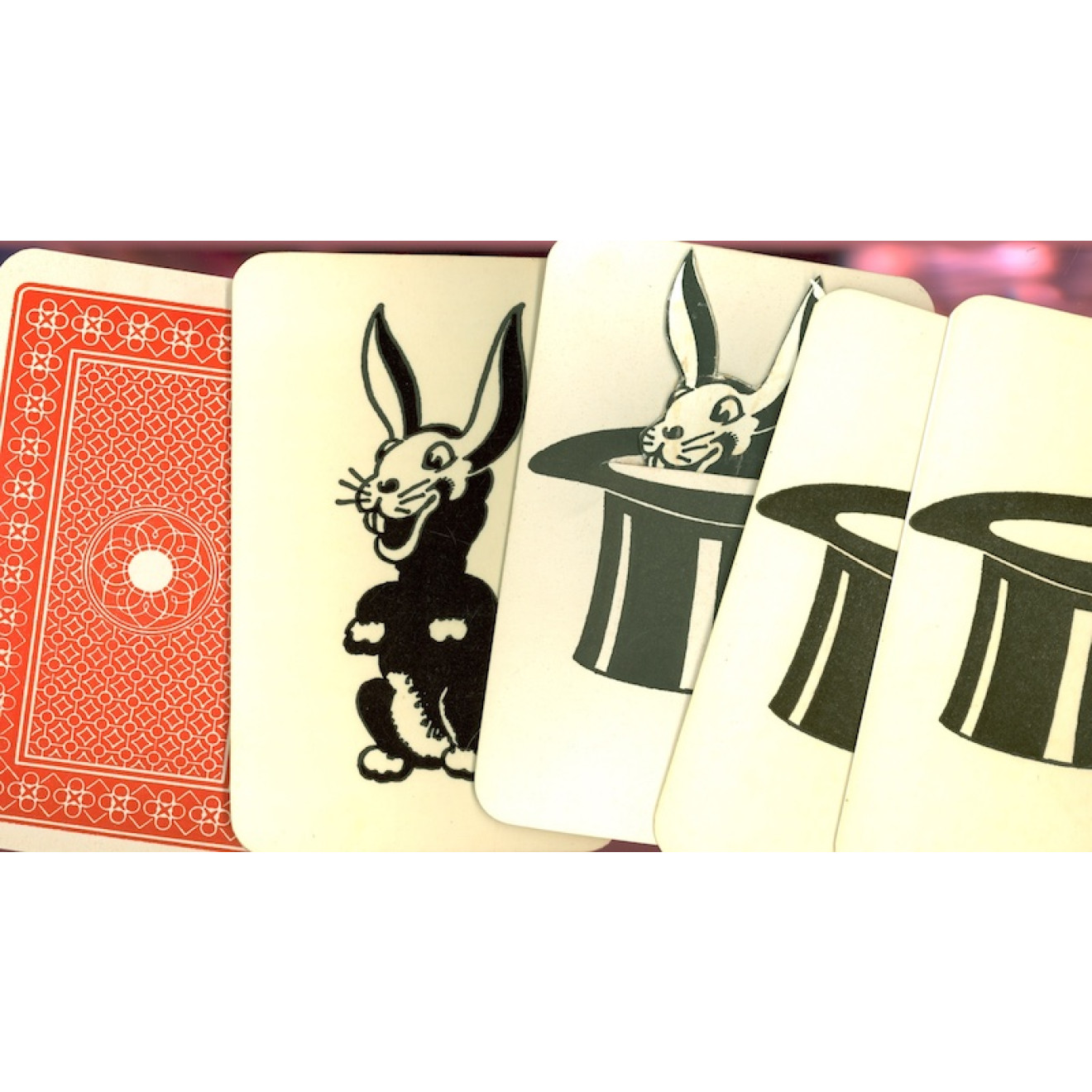 Cunning Rabbits