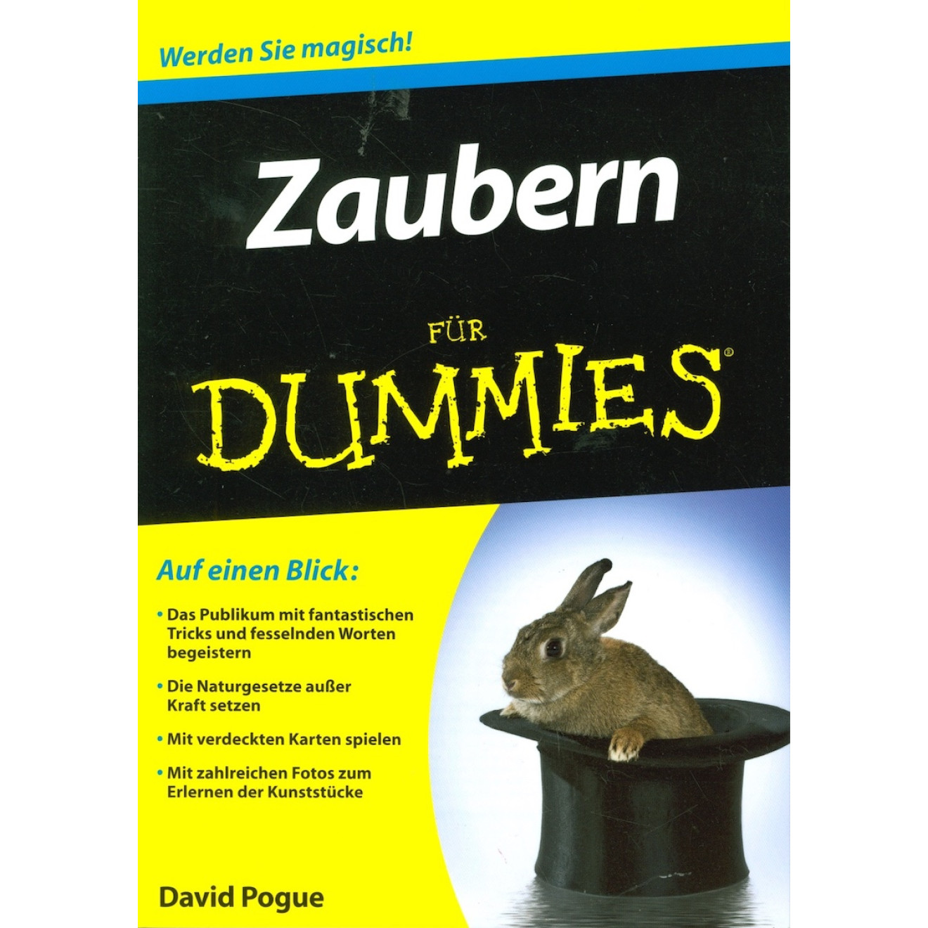Zaubern für Dummies
