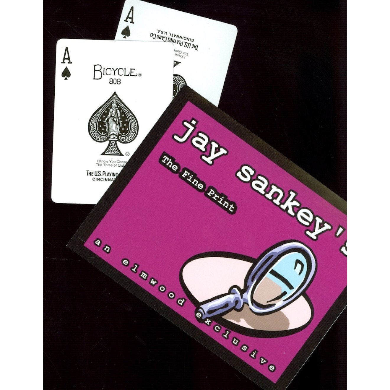 The Fine Print by Jay Sankey