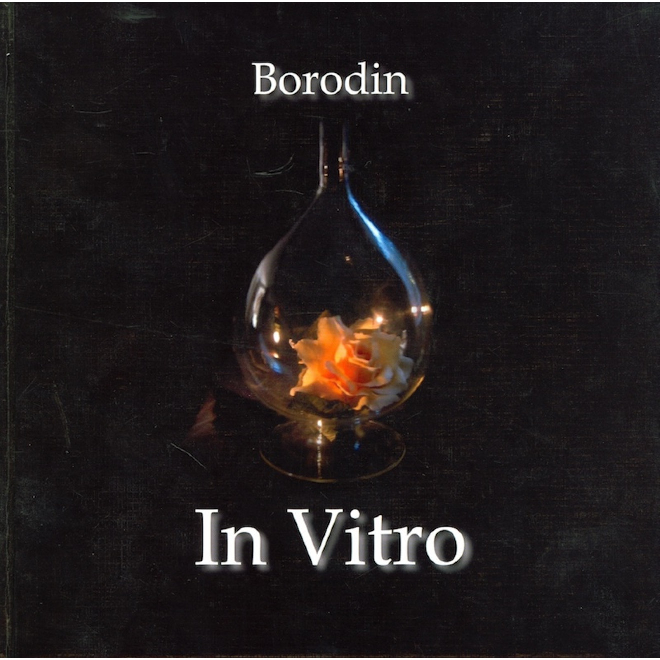 In Vitro