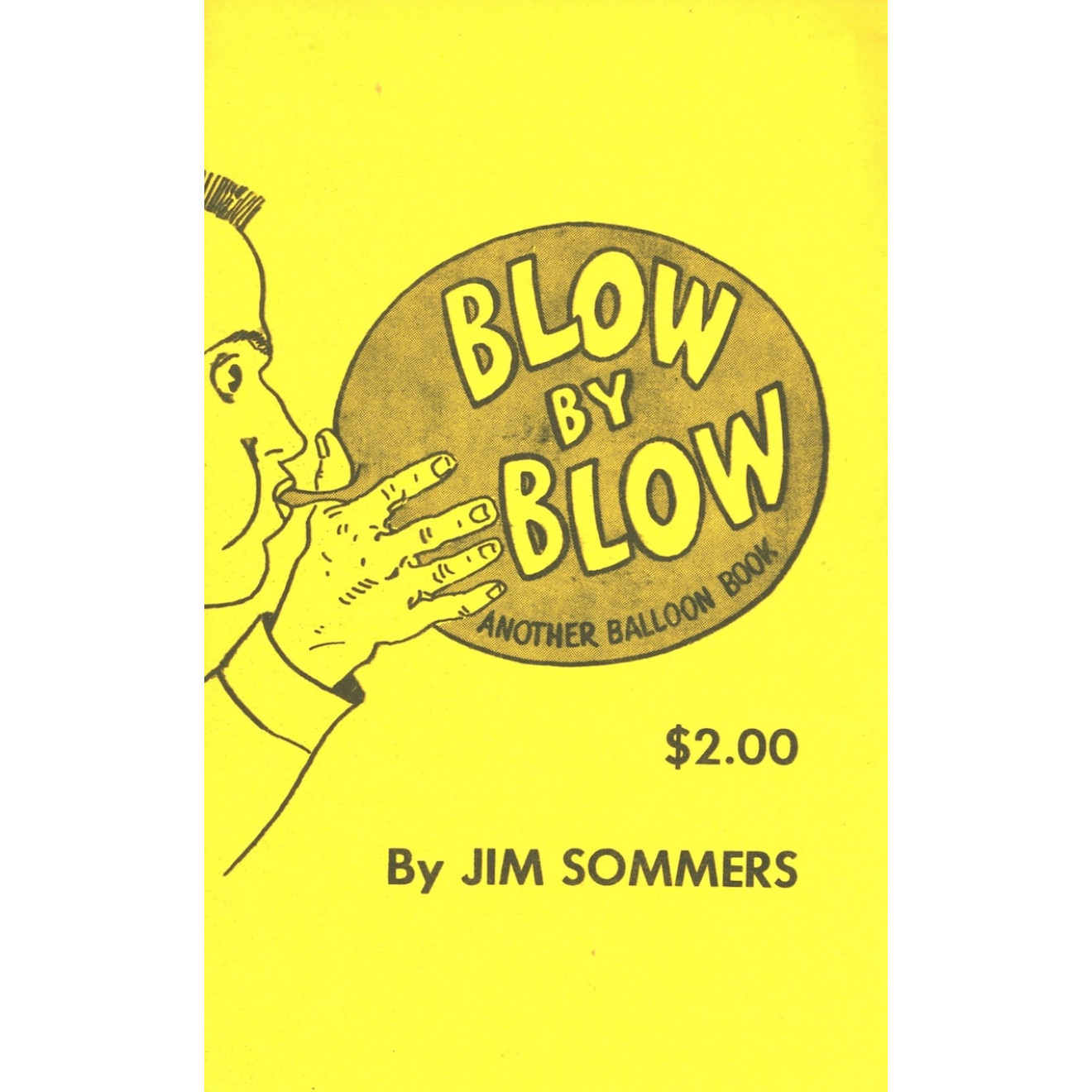 blow-by-blow-anode-ballon-book-sic-verlag-und-sicond-hand