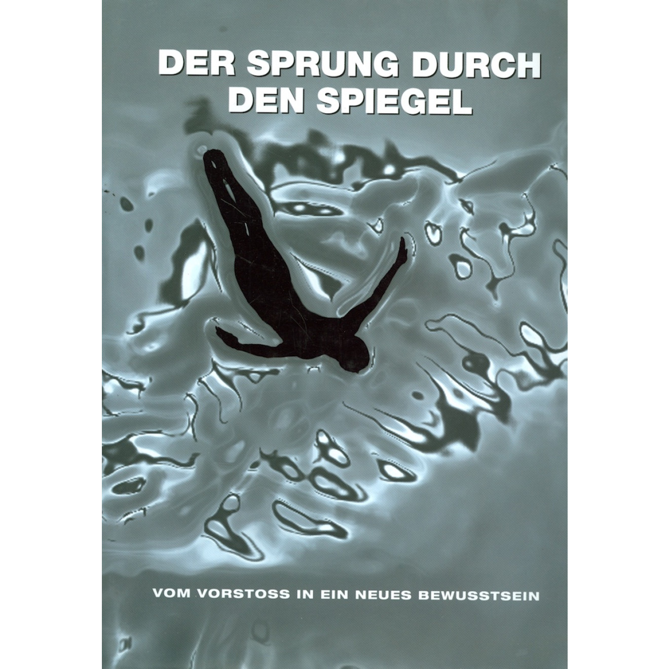 Der Sprung durch den Spiegel