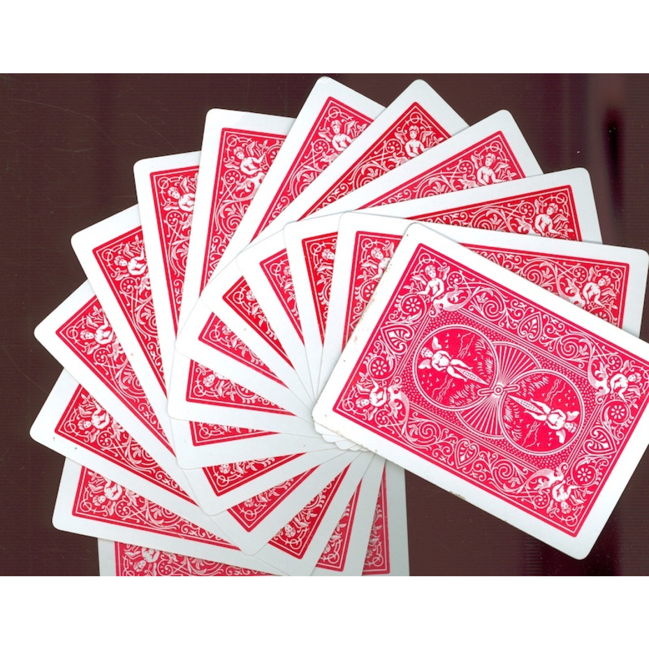 Bicycle Springfächer