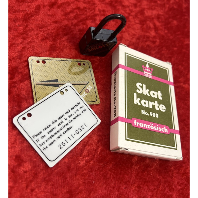 Die Befreiung des Harry Houdini