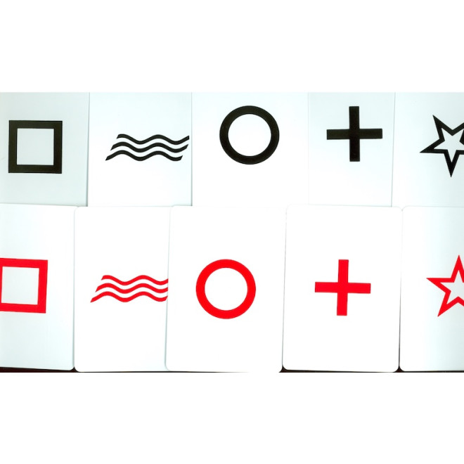 ESP Riesenkarten Set Doppelseitig rot/schwarz