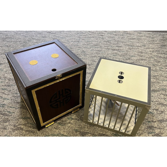 Transformation Of Dice To Crystal Cube To 4 Cases By Tora Magic