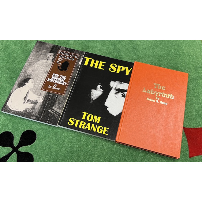 Master Key by Terri Rogers, Martin Breese