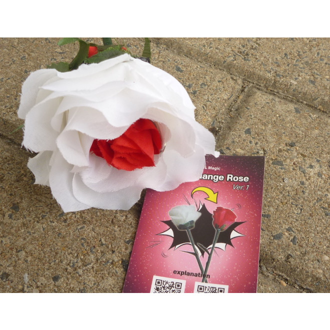 Color Changing Rose | JL Magic