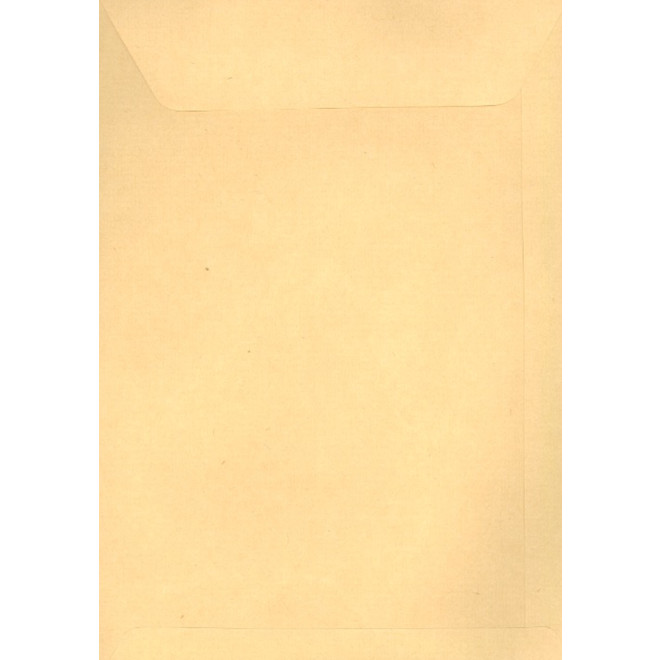 Mandragones Umschlag