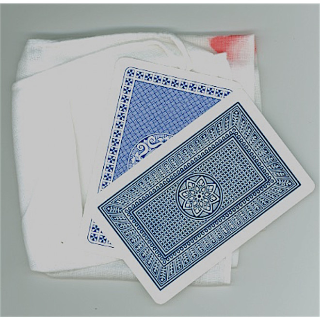 The Mark of the Pirate