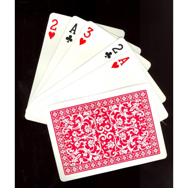 Black Mum Cat. Red Mum Cat.