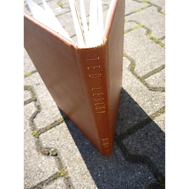 Mental Mind Up by Ted Lesley - Luxusausgabe!-