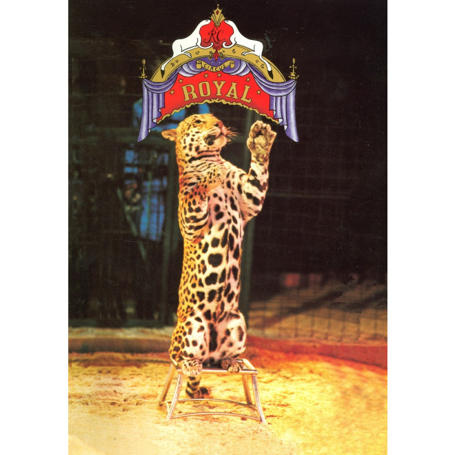 Circus Royal