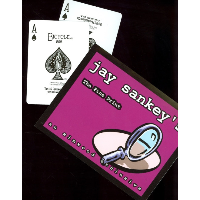 The Fine Print by Jay Sankey