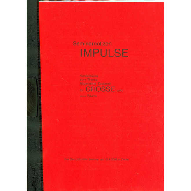 Seminarnotizen IMPULSE (MZ Odenburg)