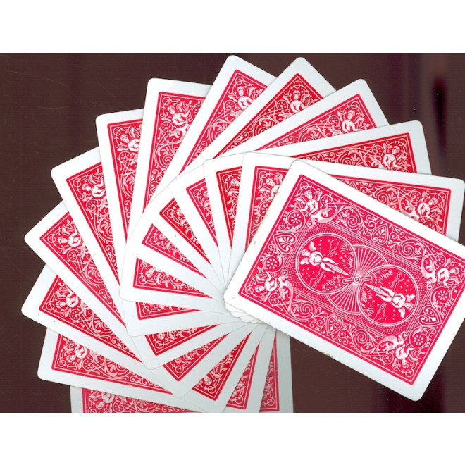 Bicycle Springfächer