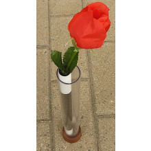 Ring auf Rose