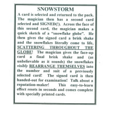 Snowstorm