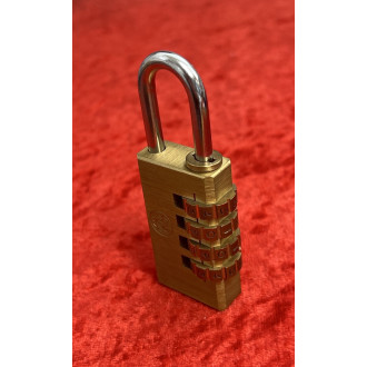 Locked Wedding Rings