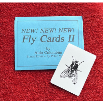 Fly Cards II