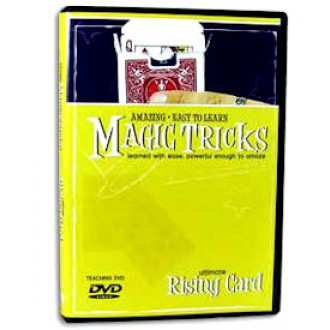 Easy to Learn- Rising Card