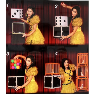 Transformation Of Dice To Crystal Cube To 4 Cases By Tora Magic
