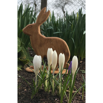 Holzhase aus Eichenholz. Handarbeit. Sonderaktion! Osterdekoration!