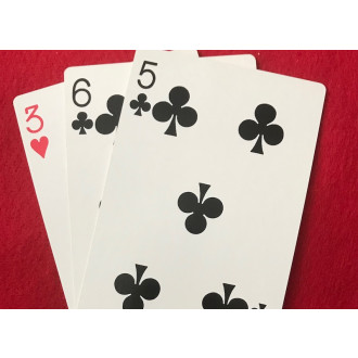 Sputnik-Karten (11 x 18 )