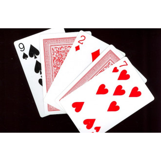 Acrobatic Cards (Day