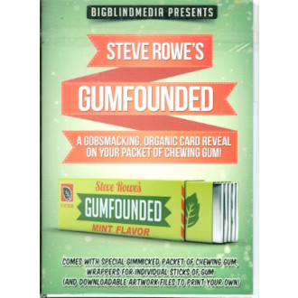 Steve Rowe's GUMFOUNDED