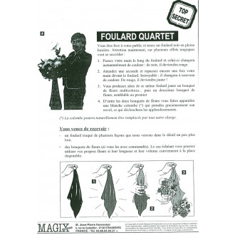 Farbwechselnder Schal / Foulard Quartet (fr.)