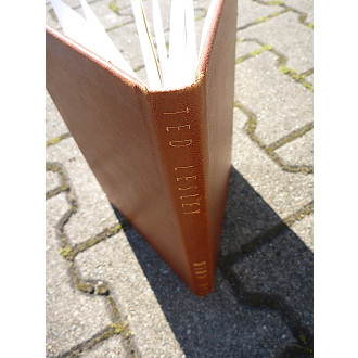 Mental Mind Up by Ted Lesley - Luxusausgabe!-