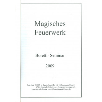 Magisches Feuerwerk 2009