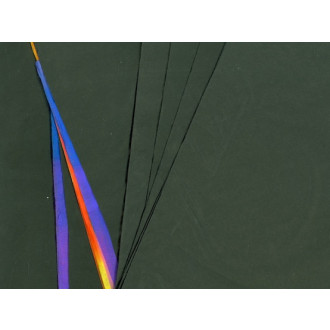 DELUXE Hatboro Paper Tear