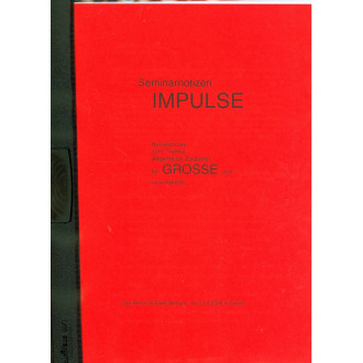 Seminarnotizen IMPULSE (MZ Odenburg)