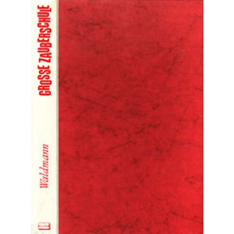 Grosse Zauberschule (ohne Umschlag)