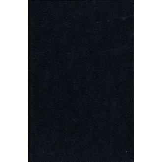 Rink's Magic from Holland