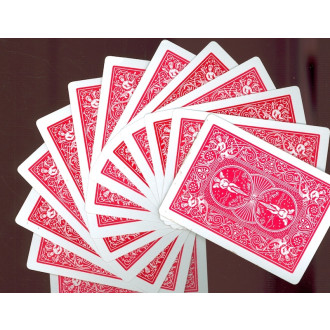 Bicycle Springfächer