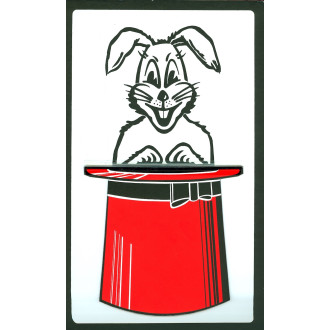 Färbezylinderkarte 20 x 30 cm